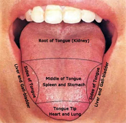 Standard Sample of Tongue Picture