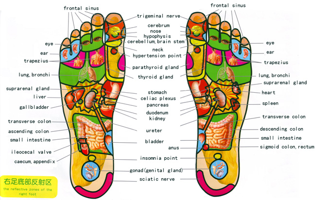 origin and development of foot therapy