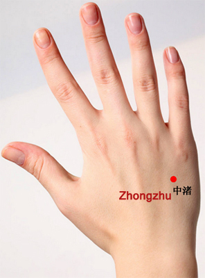 zhongzhu (te3)