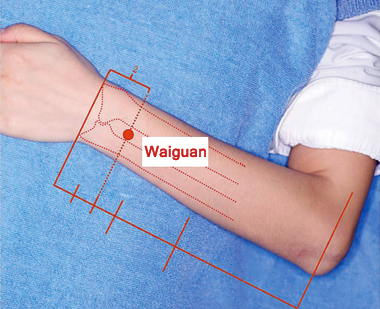 waiguan (te5)