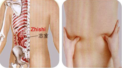 zhishi (bl52)