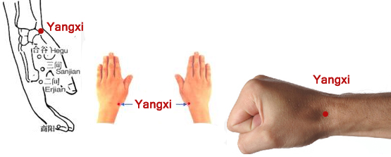 actupuncture single point yangxi