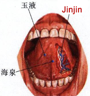 jinjin, yuye (ex- hn 12)