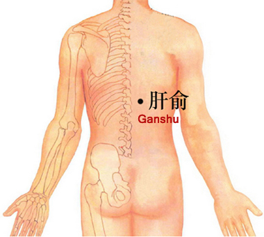 ganshu (bl 18)