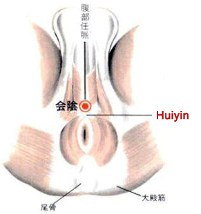 acupuncture single point huiyin