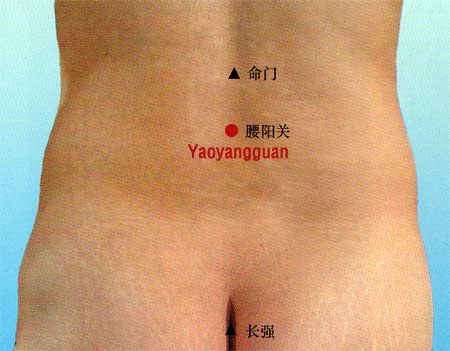 acupuncture single point yaoyangguan