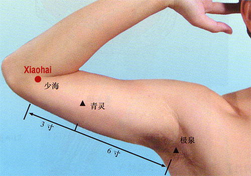 acupuncture single point xiaohai