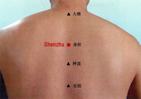 acupuncture single point shenzhu