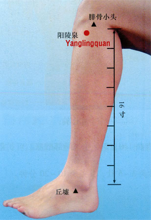 acupuncture single point yanglingquan