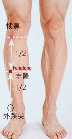 acupuncture single point fenglong
