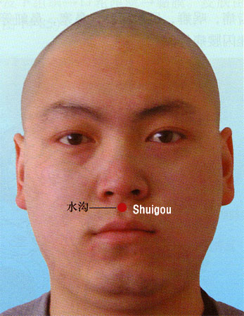 acupuncture single point shuigou