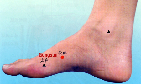 acupuncture single point gongsun