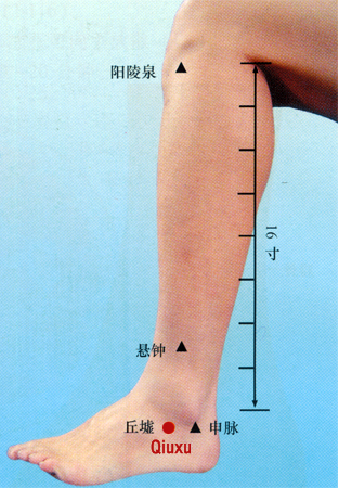 acupuncture single point qiuxu