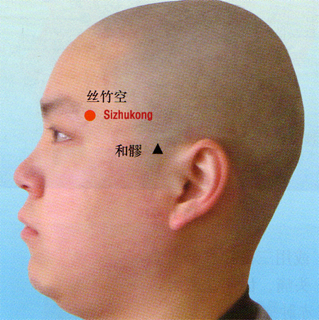 acupuncture single point sizhukong