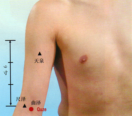 acupuncture single point quze