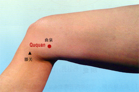 acupuncture single point ququan