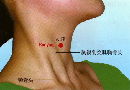 acupuncture single point renying