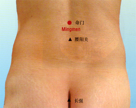 acupuncture single point mingmen