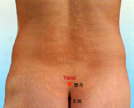 acupuncture single point yaoqi