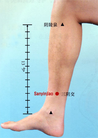 acupuncture single point sanyinjiao