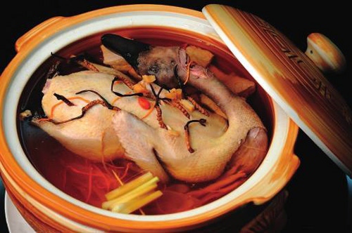 stewed duck with cordyceps sinensis for tonifying the lung