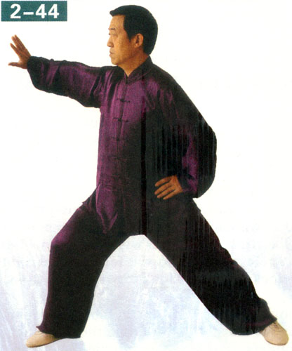 wave the hand at the side of the body in taiji exercises