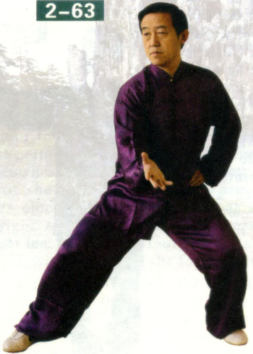 side step exercise in chen style taiji