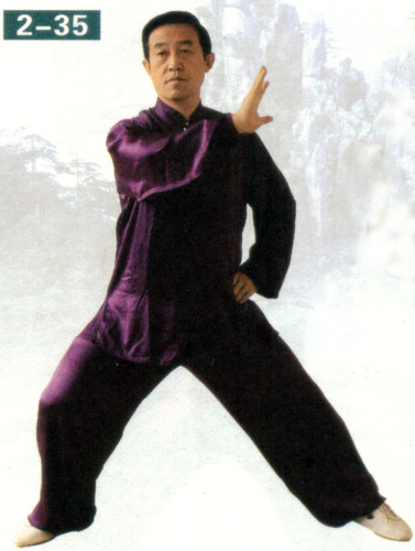 both hands of taiji exercises (with image)