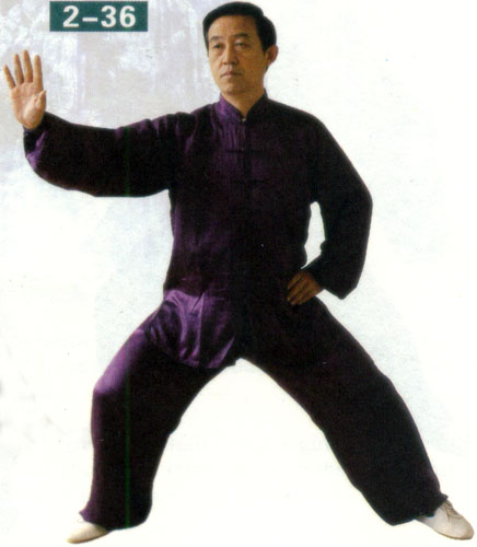 both hands of taiji exercises (with image)