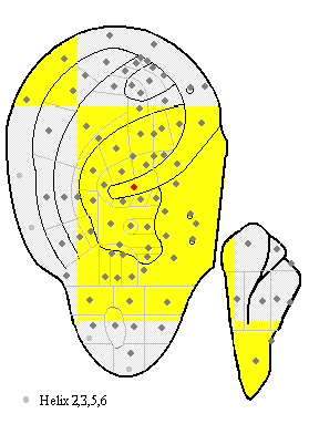 acupuncture ear point, ear centre (ma1) with image