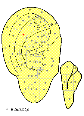 acupuncture ear point, lumbosacral vertebrae (ma26) with image