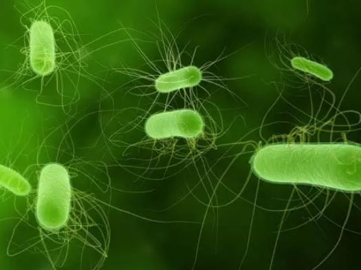 relieve constipation by balancing the intestinal microbes