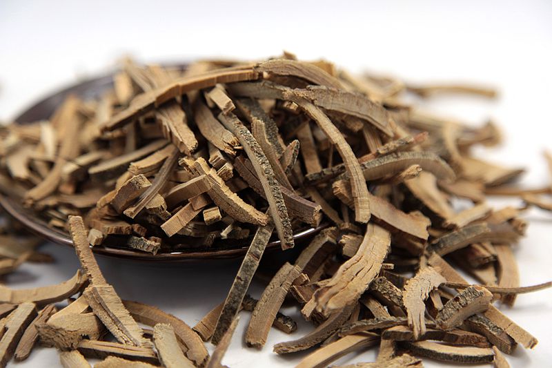 ash tree bark, an amazing herb for infantile epilepsy