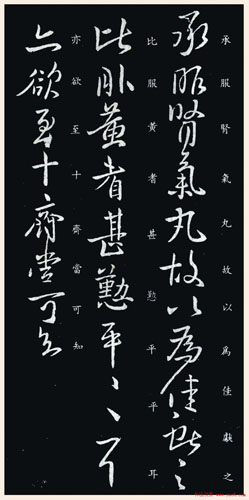 wang xianzhi letter on kidney system vitality pellets