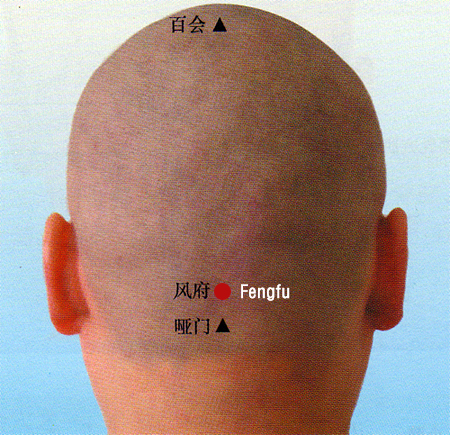 fengfu (gv 16)