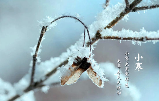 living tips at slight cold in 24 solar terms of china
