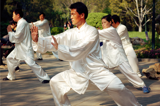 a balance between movement and motionlessness from tcm philosoph