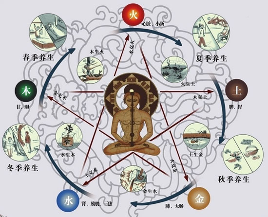 the six fu organs, a glossary of traditional chinese medicine