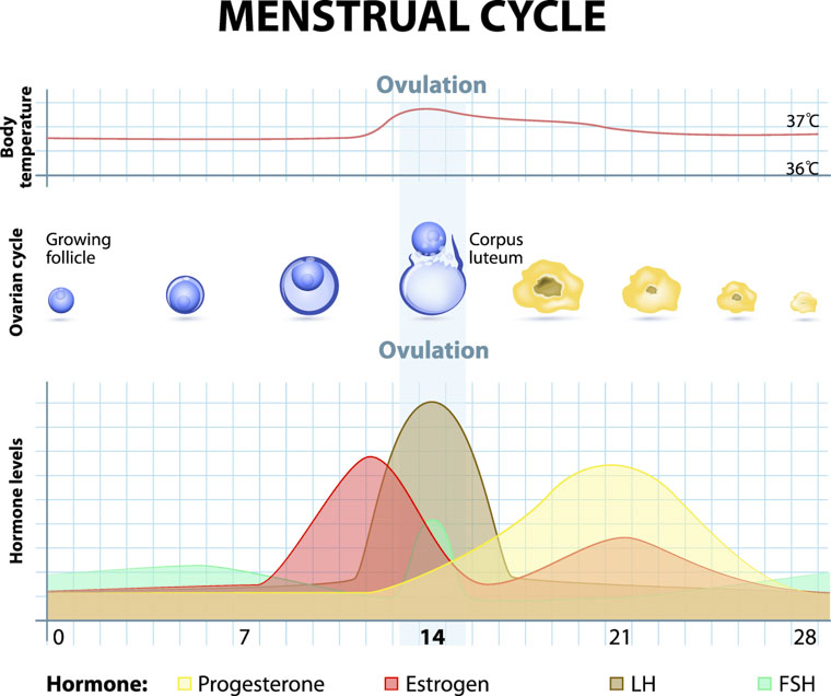 seeking acupuncture to treat painful menstruation