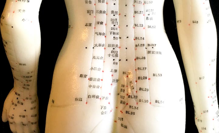 acupuncture indicated for treating urinary bladder leakage